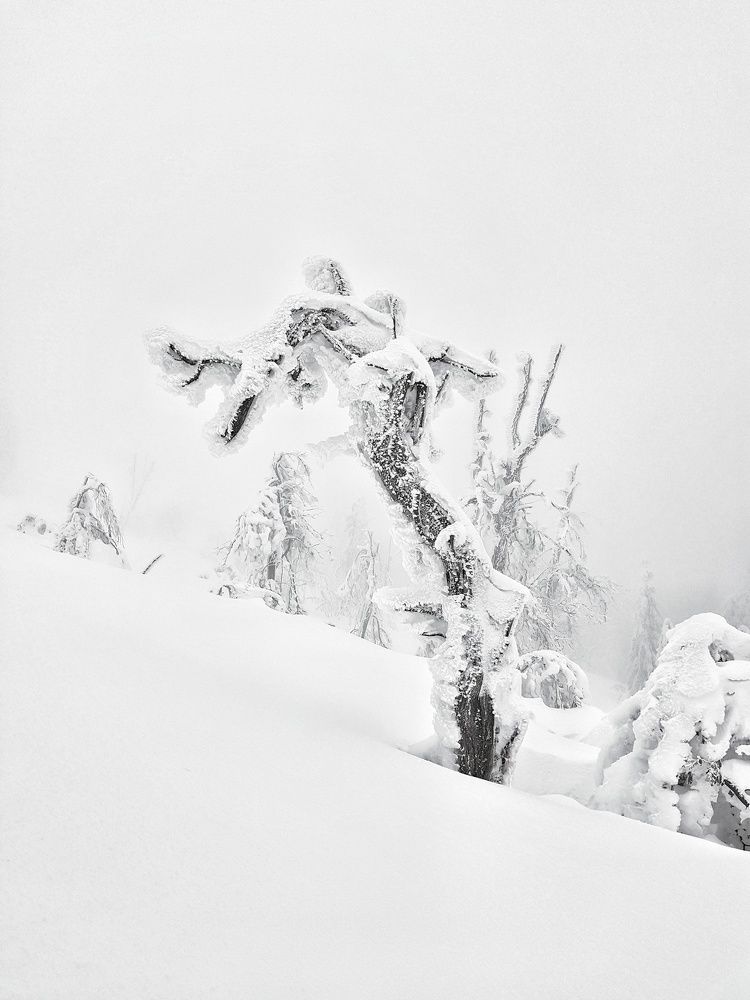 Photograph by Marcin Sokolowski - maarew