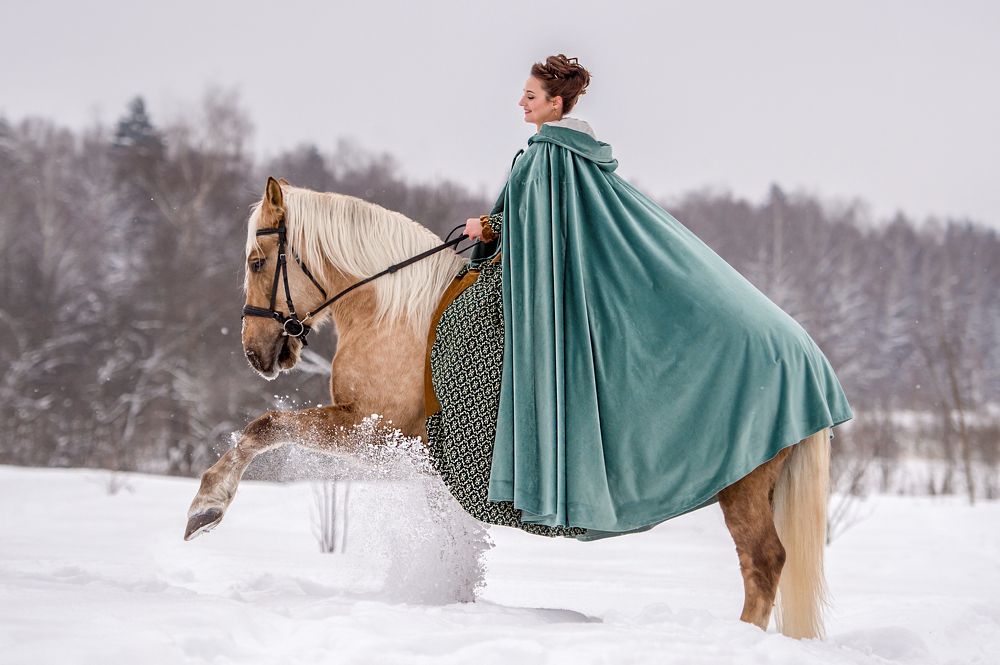 Зимний эльф