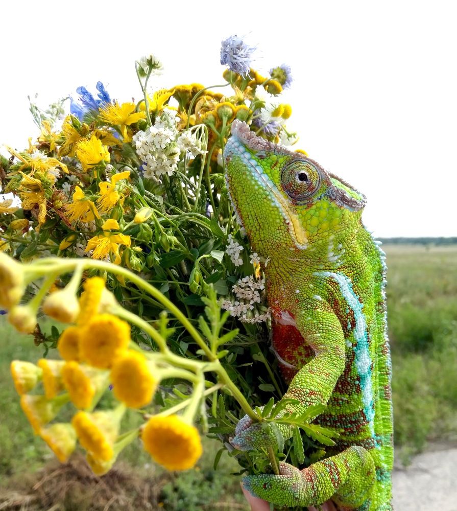 Букет тебе!