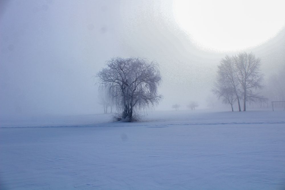 Зимняя история