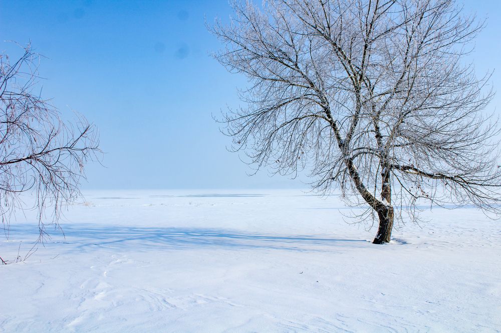 Зима в городе