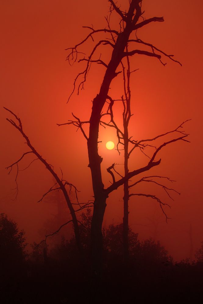 Погорельцы