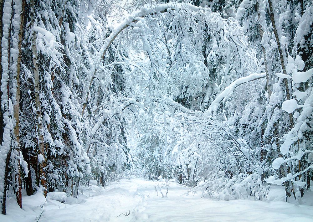 Дорога в сказку