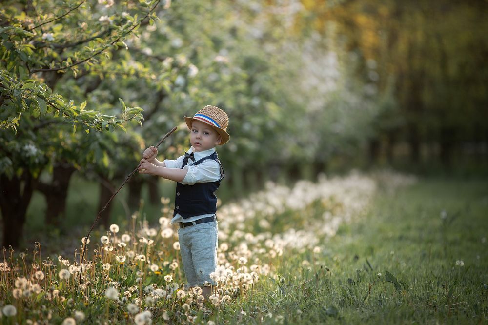 Photograph by Елизавета Романенко