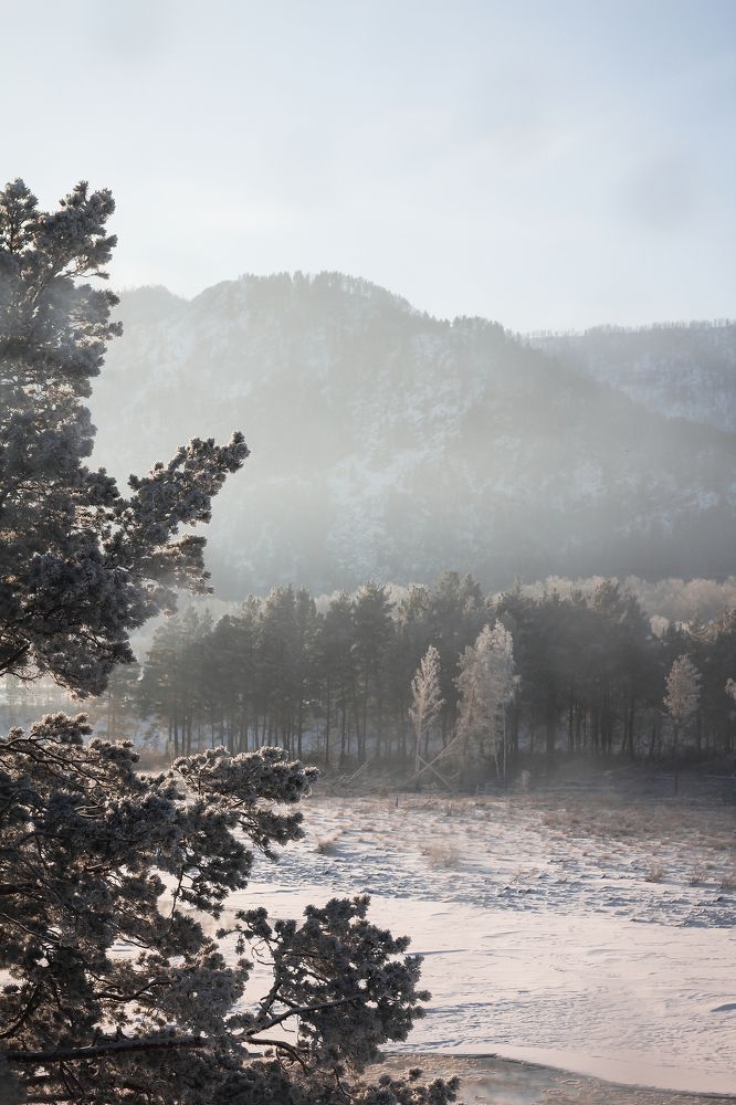 Photograph by Полина