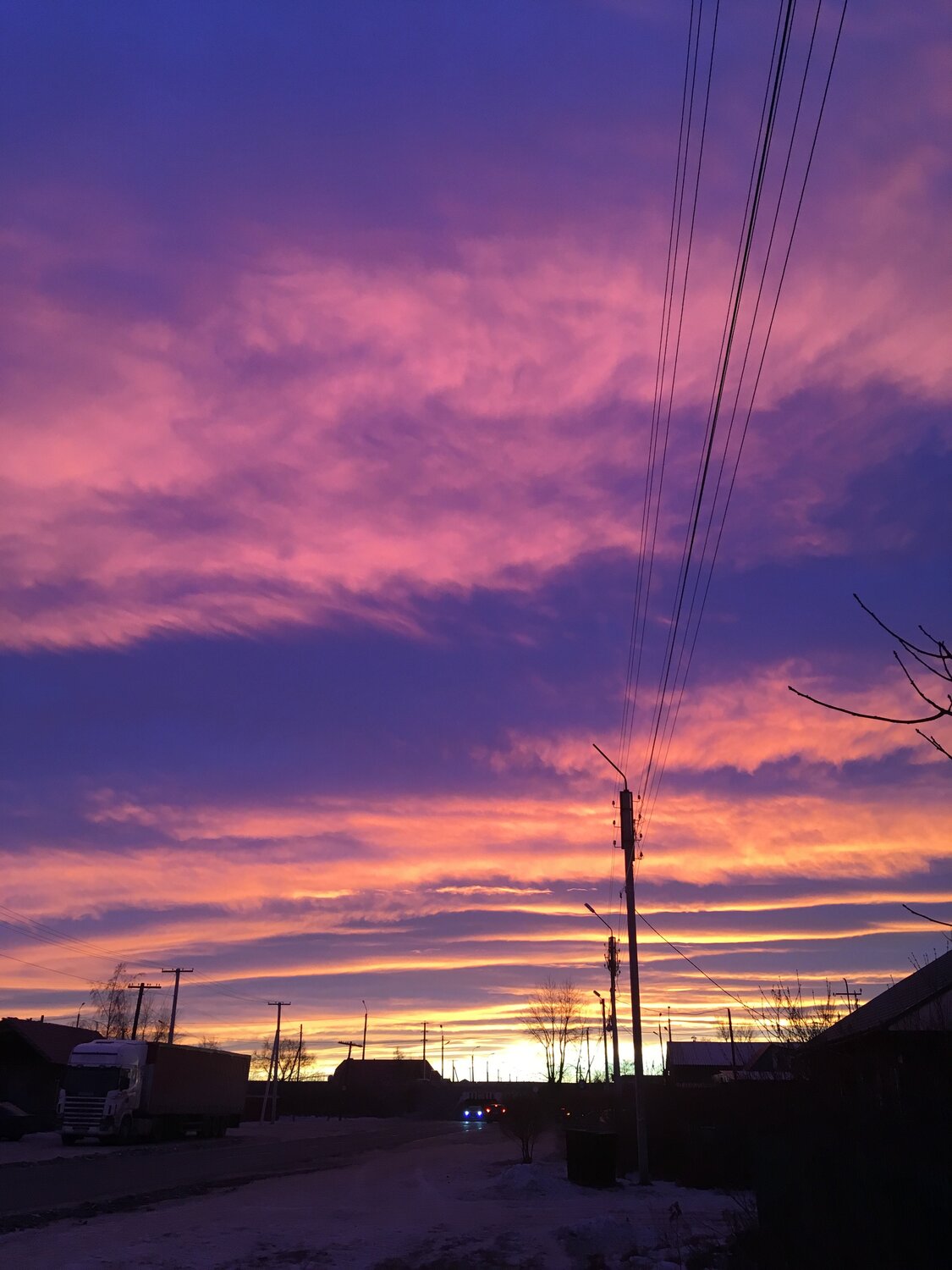 Photo #2926538
