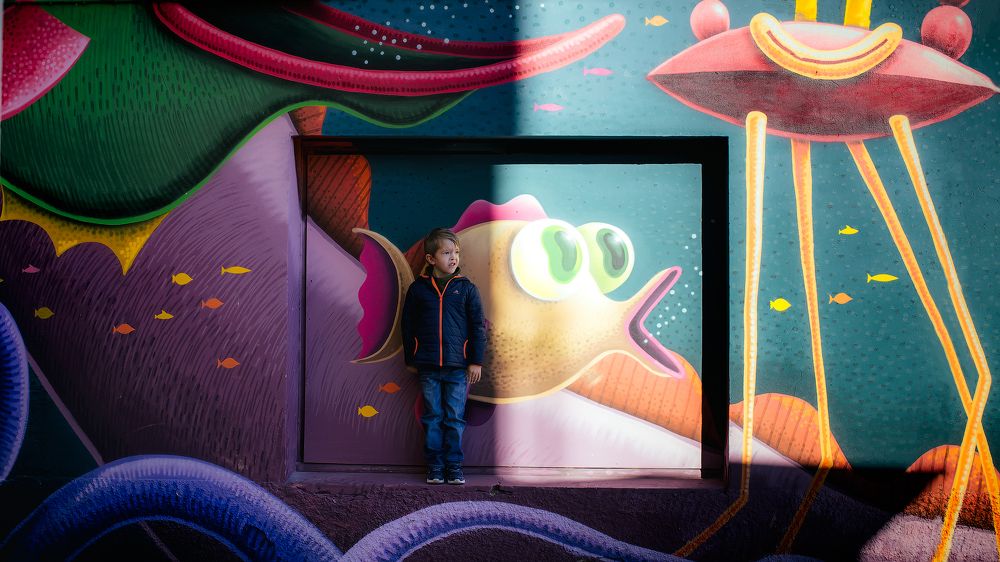 Фотография автора Olga Alekseeva