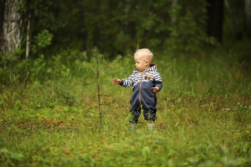 "Первая в жизни колючка"