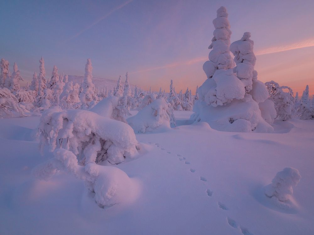 Там на неведомых дорожках...