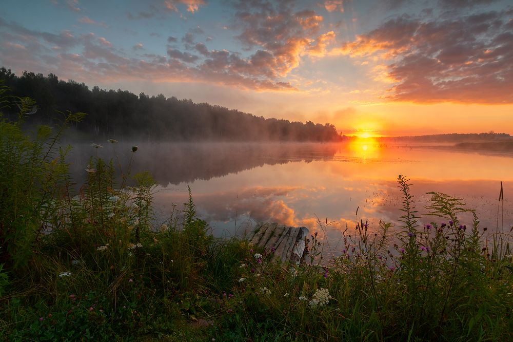 Утро на сельском пруду