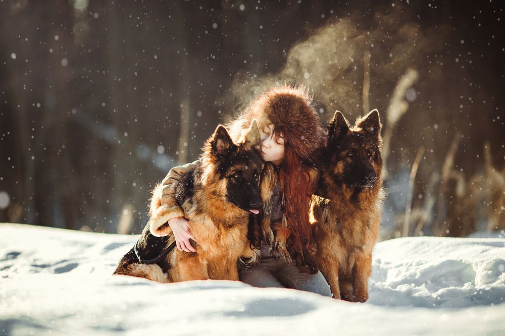 Диана и ее верные друзья