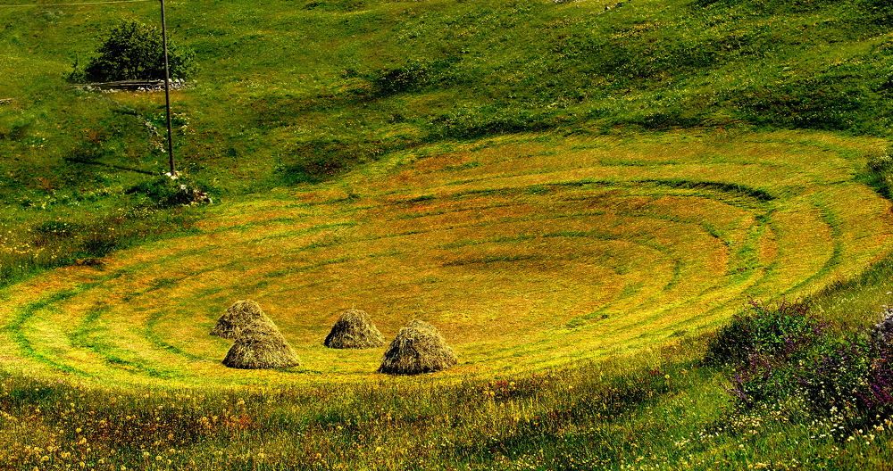 Время сенокоса.