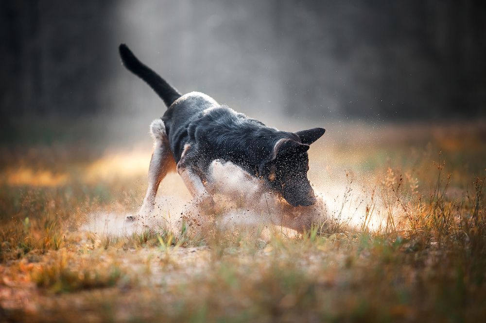 Тормозной путь