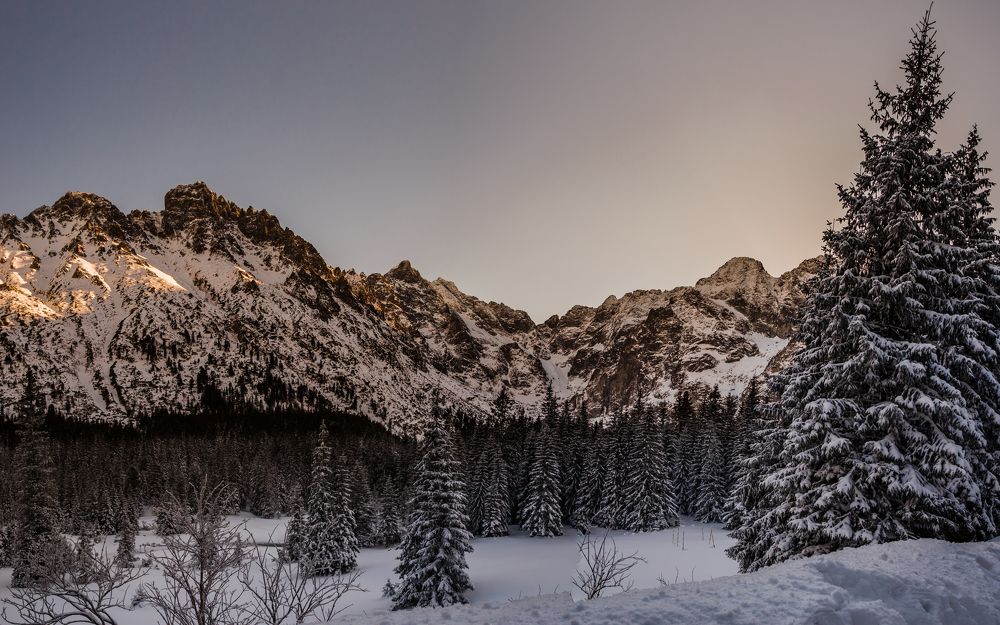 Tatras in the morning