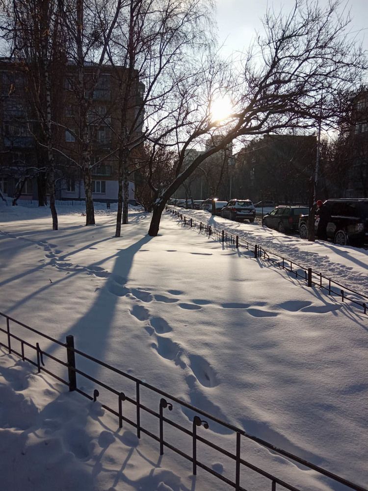 Зимнее солнце