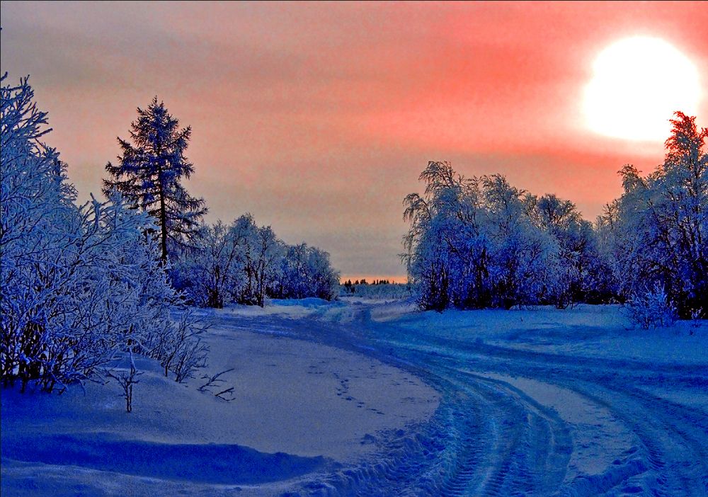 Мартовский лик зимы