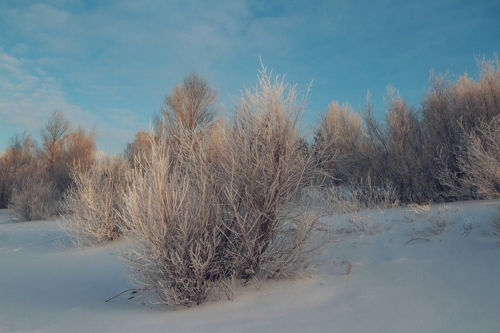 А ведь зима - это и есть сказка.... Главное верить в чудеса