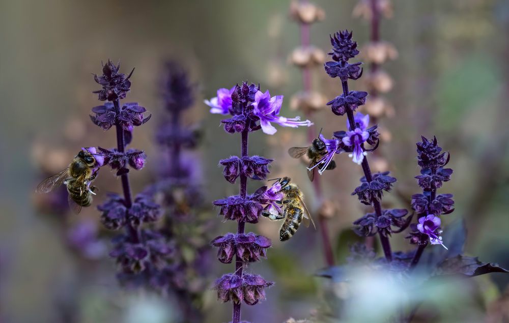 Рабочий полдень