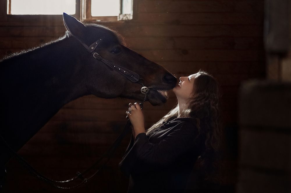 Теплая дружба