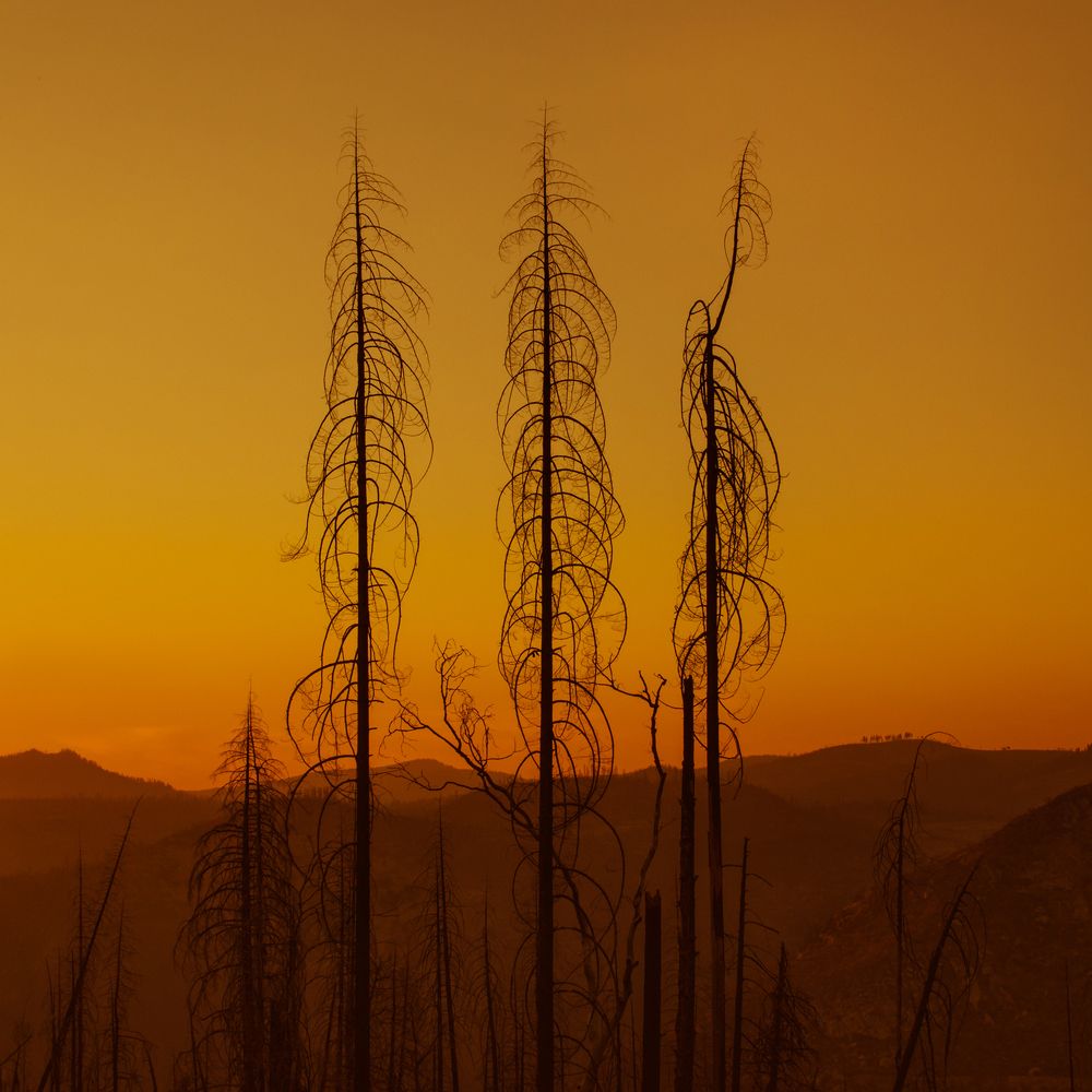 Последствия