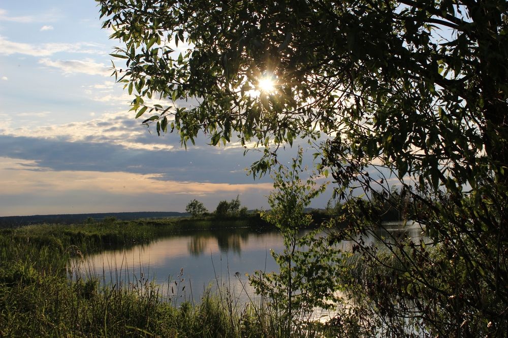 Безмятежность