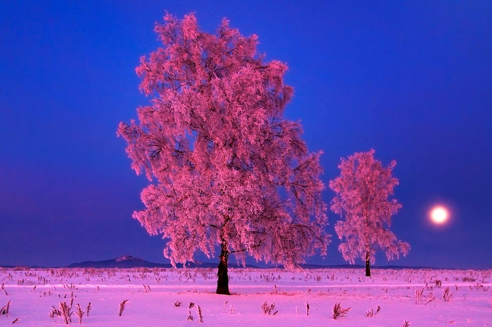 Полнолуние
