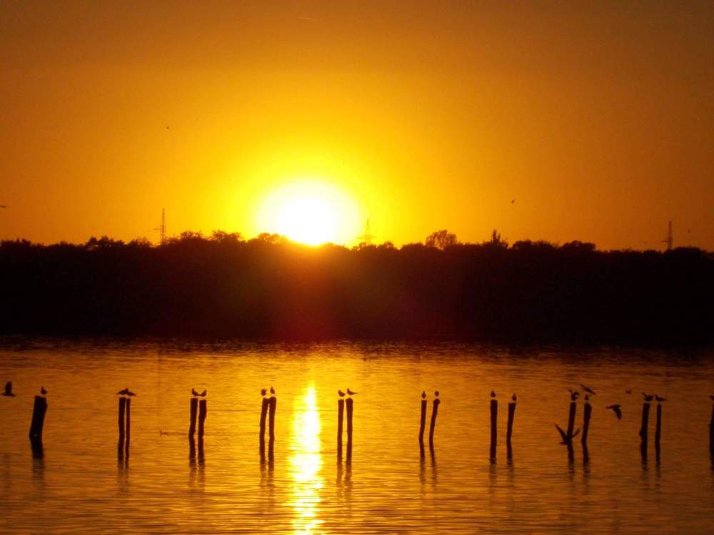 Iubirea se împarte mai întâi ... la Doi!!!