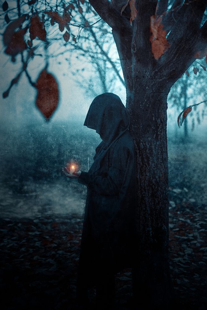 Затерянный в тумане