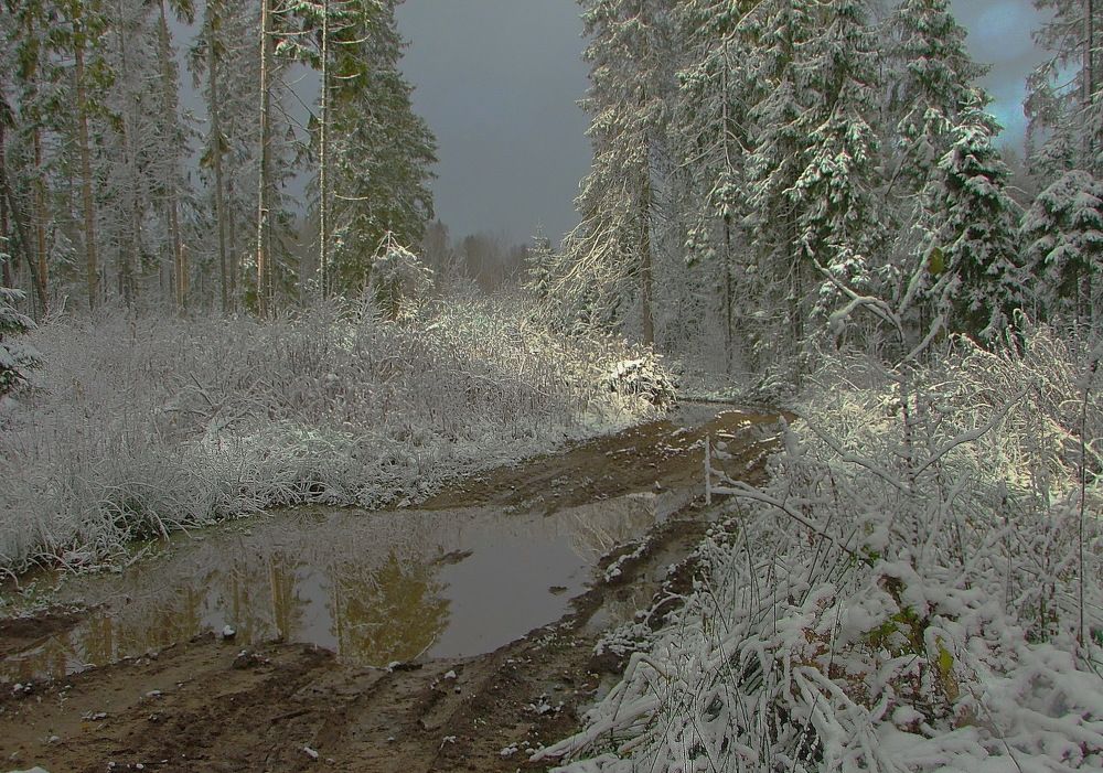 Первый снег