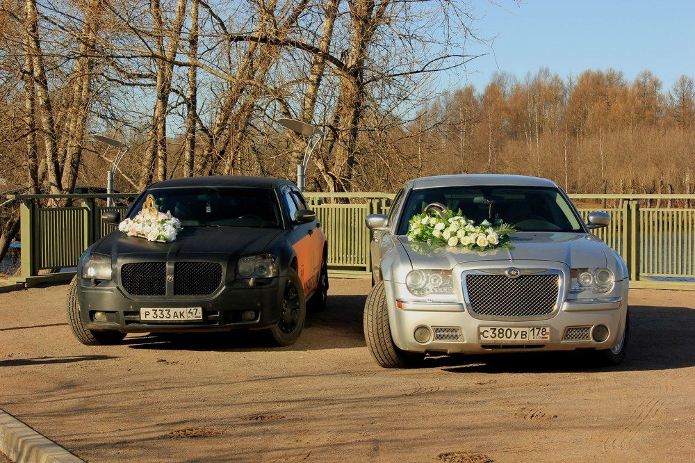 молодожоны