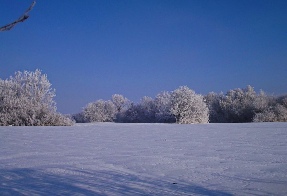 Photo #2927390