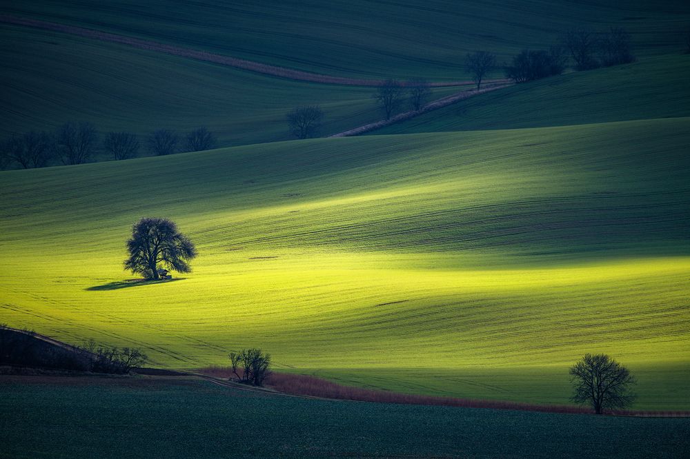 Последний день 2018 года