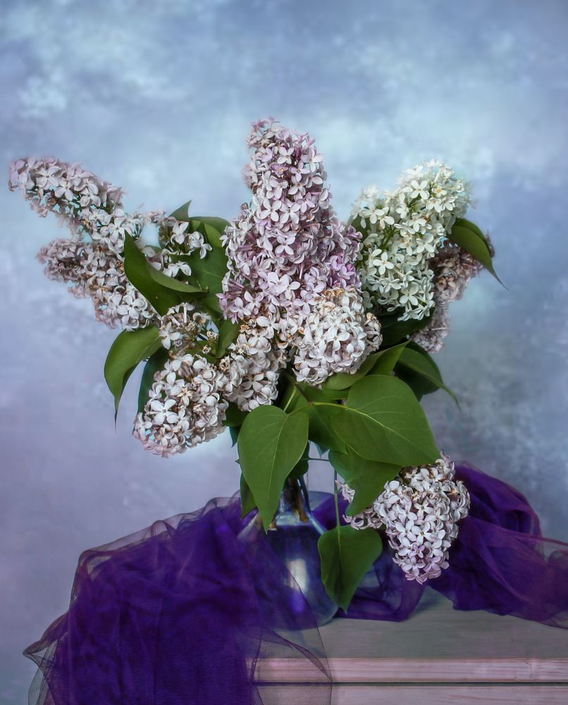 Photograph by Татьяна Завалова