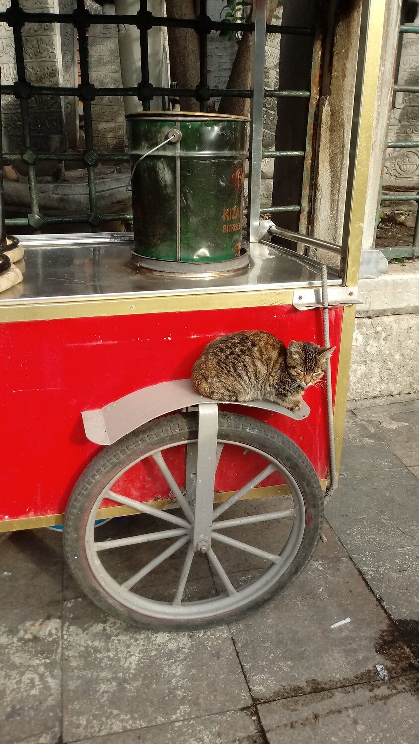 Istanbul atmosphere
