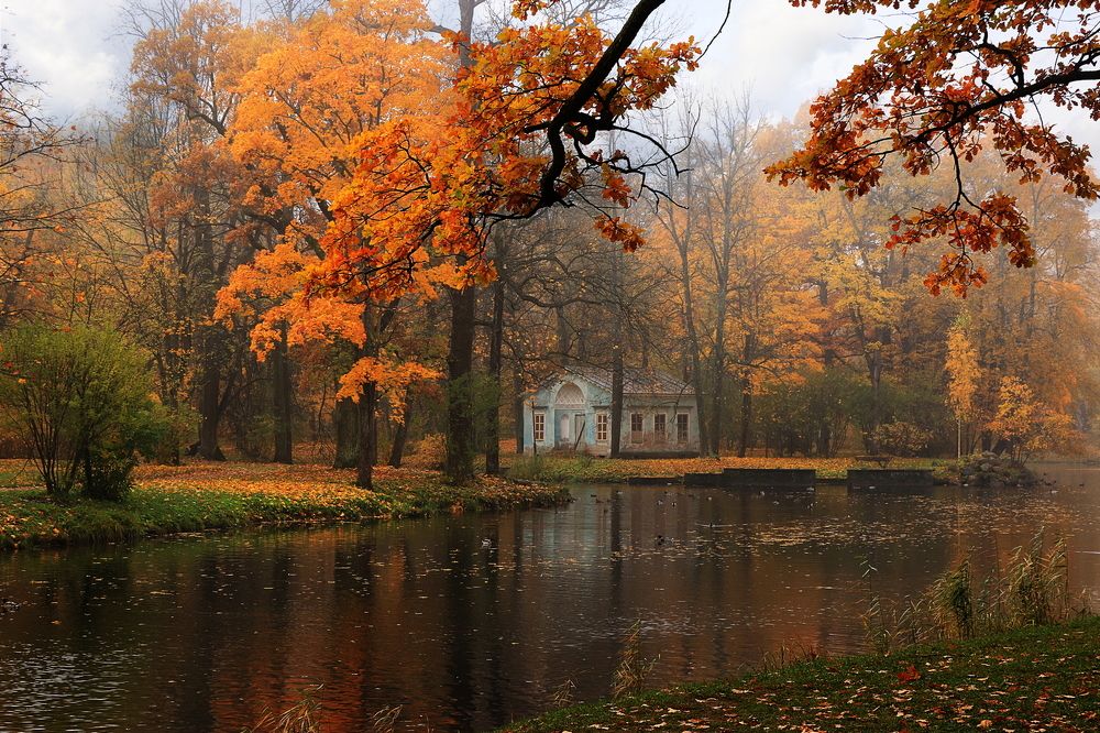 Alexandrovsky Park, Tsarskoe Selo, Russia, autumn