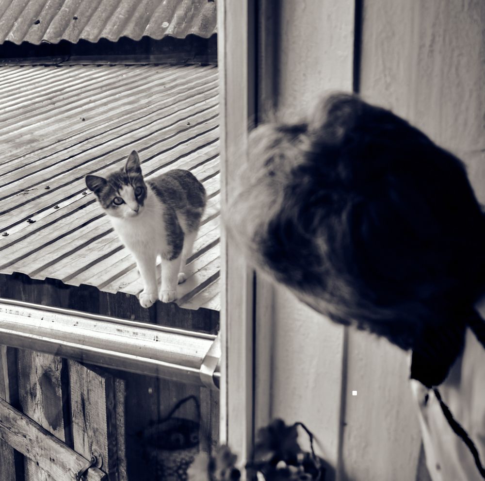 Знакомство...