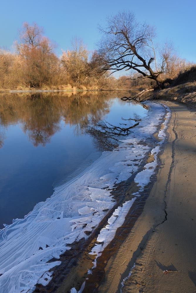 Первые заморозки