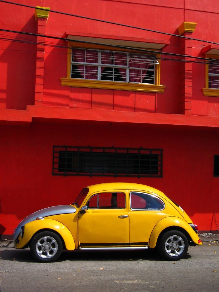 yellow volks