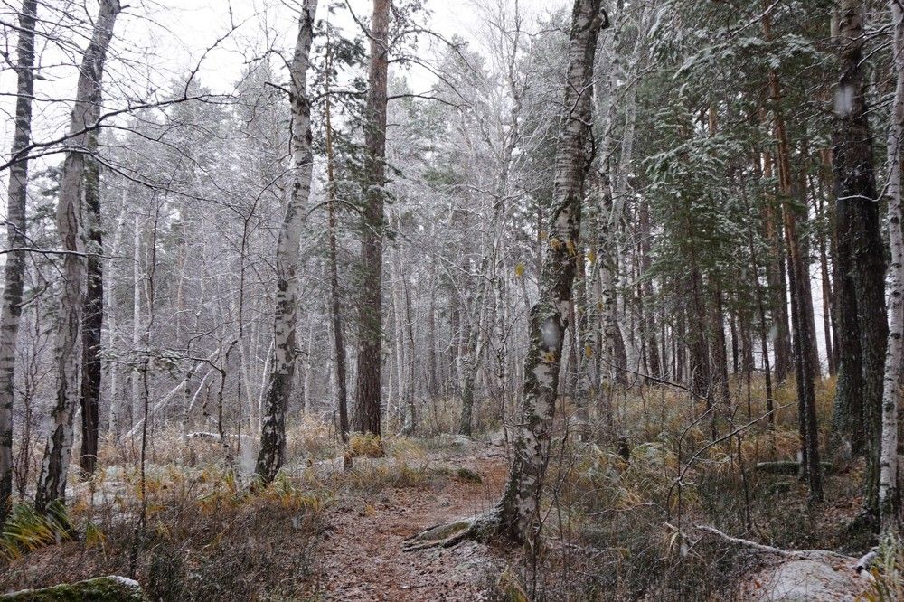 Боровое.  Осень