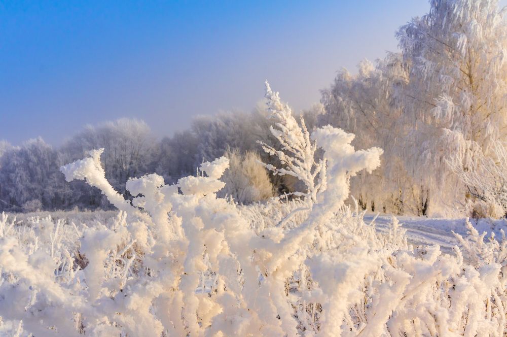 Зимняя сказка