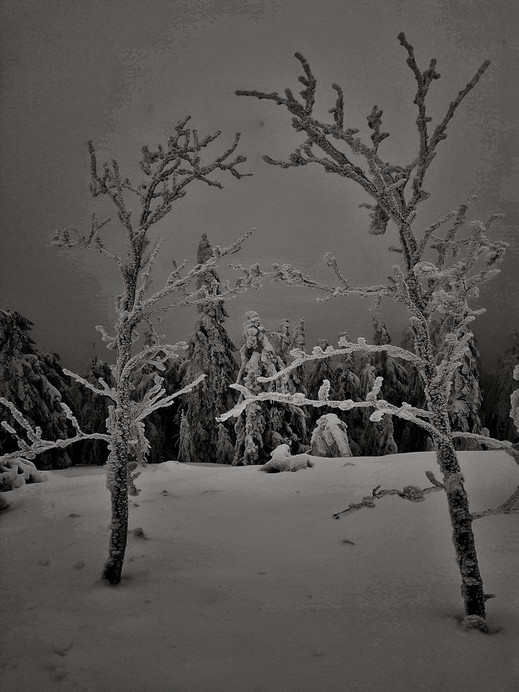 Photograph by Marcin Sokolowski - maarew