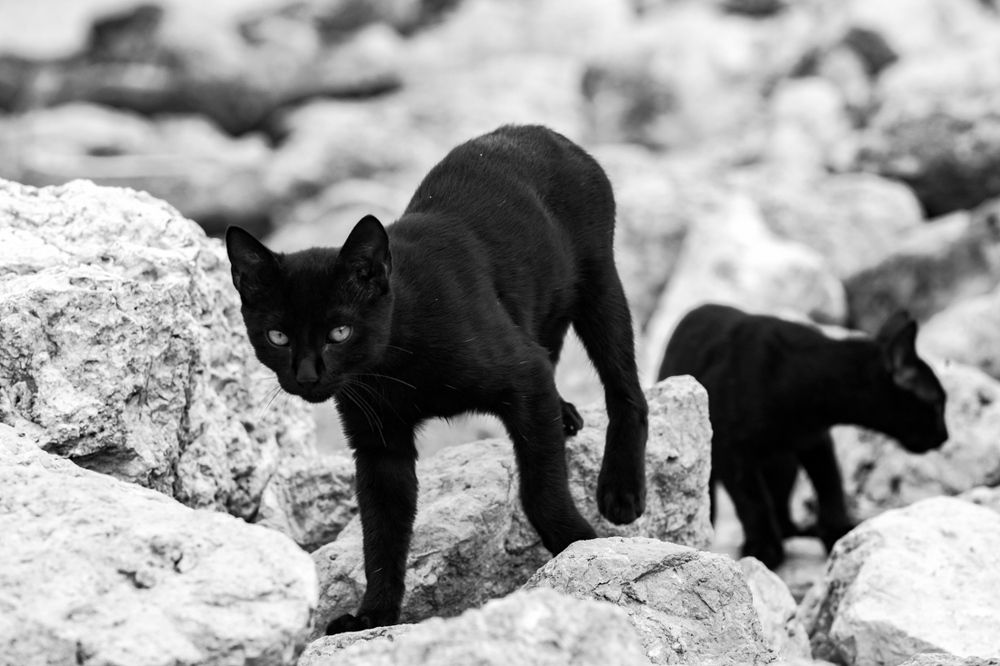 Photograph by Татьяна Макотра