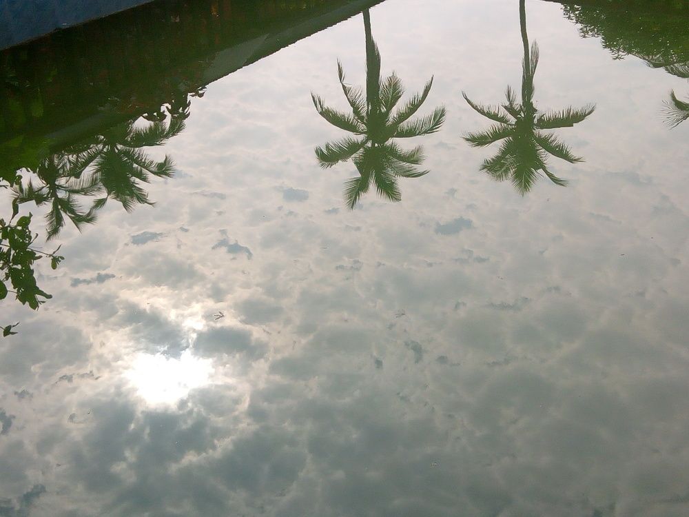 Reflection