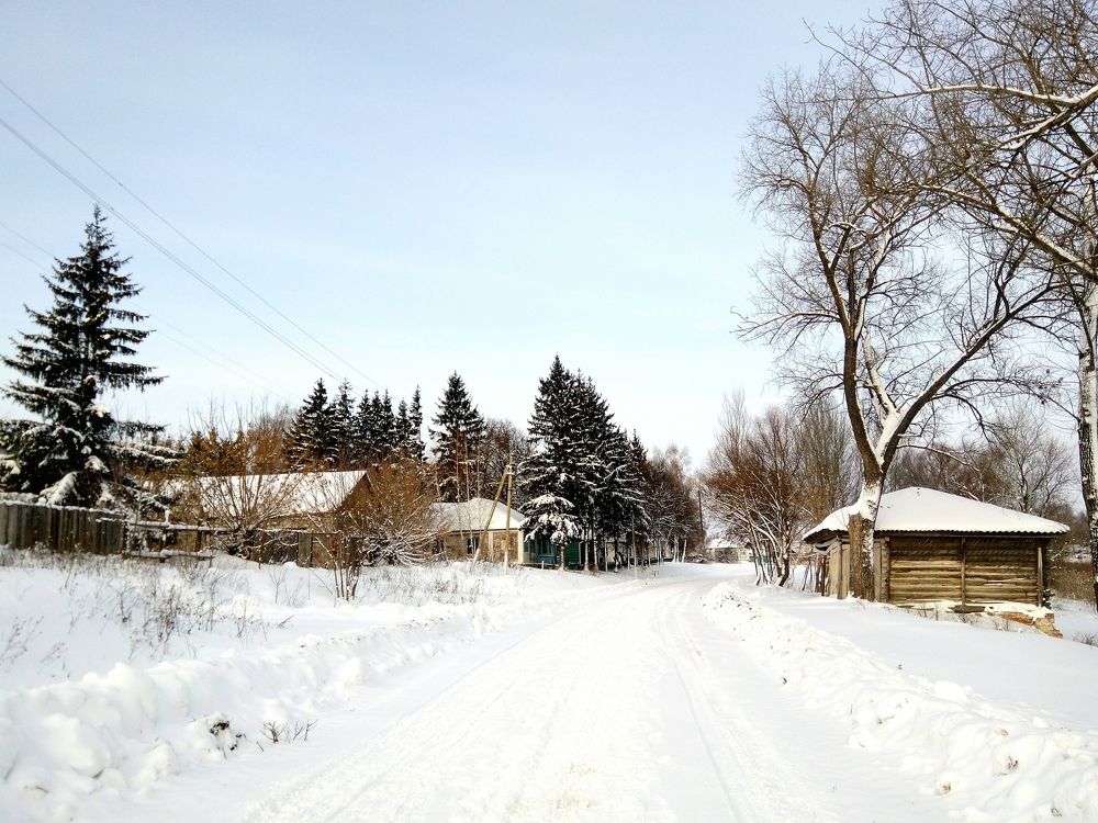 Зимнее село