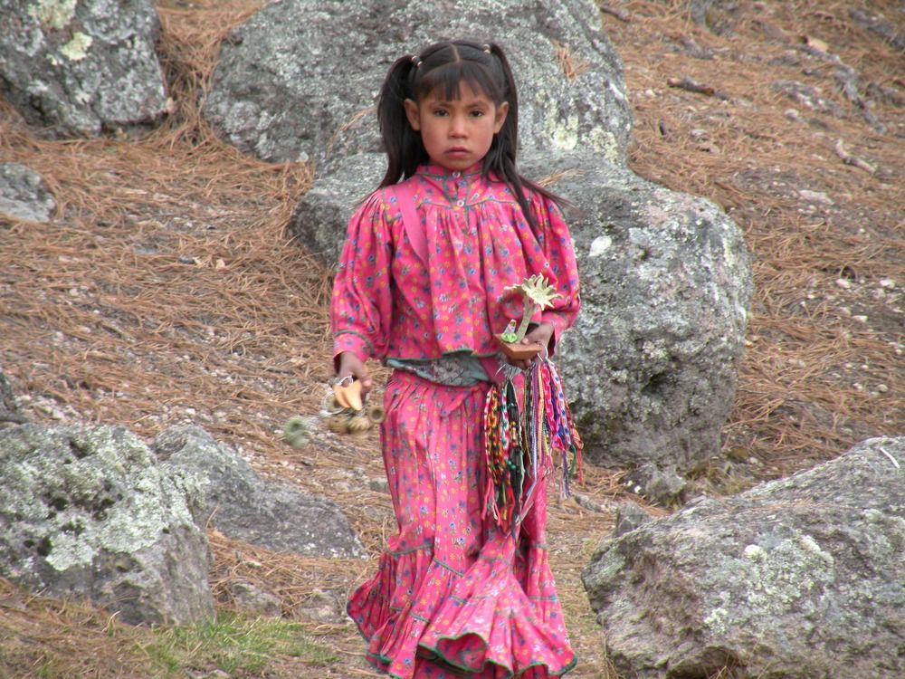 Лесная красавица