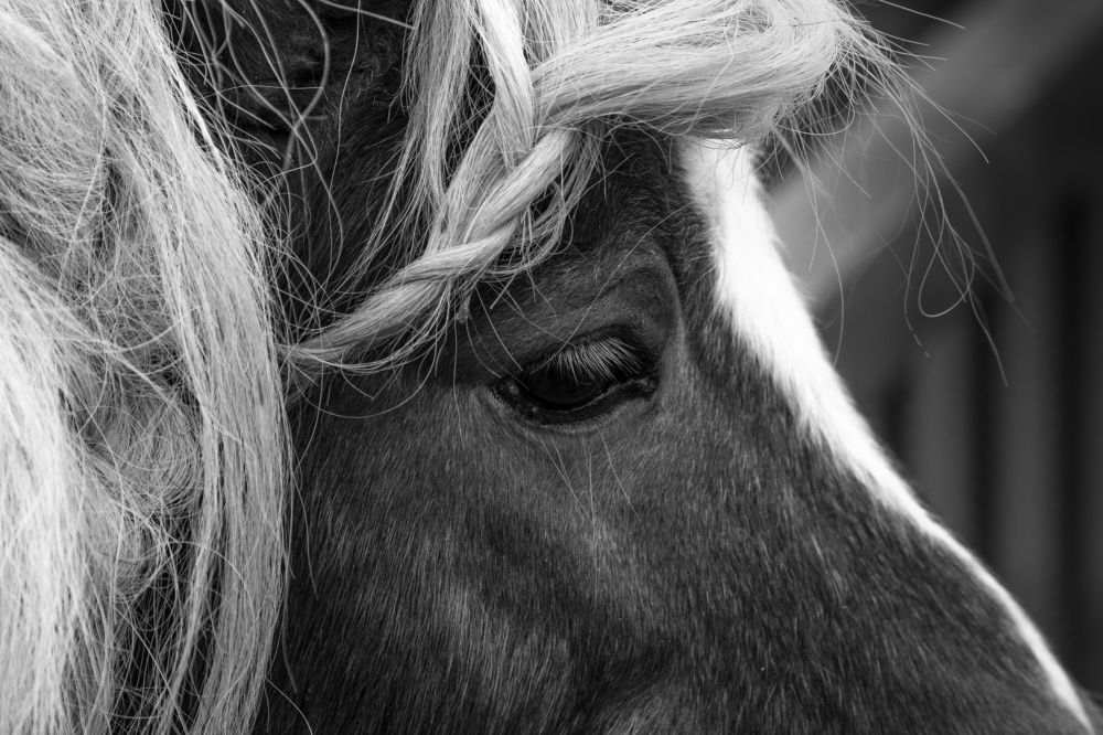 Photograph by Юлия Шумляева