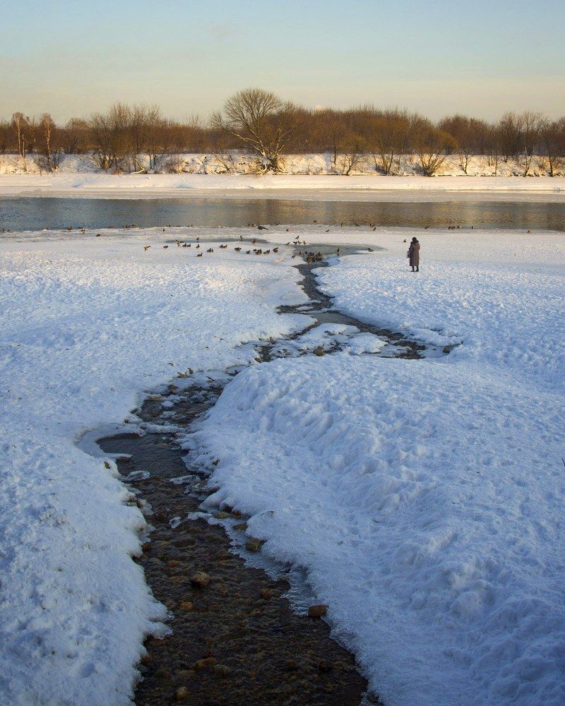На берегу Москвы-реки