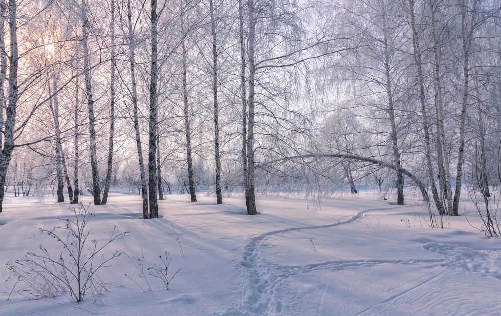 Мороз и солнце