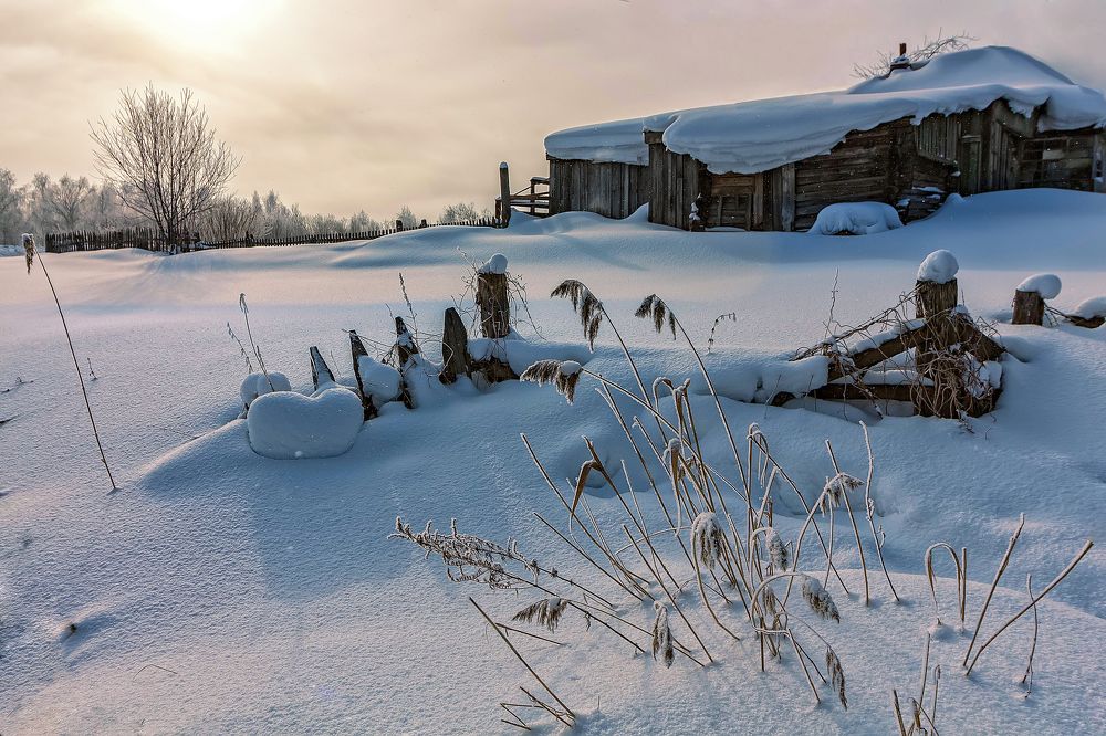 Photograph by Ольга Белова