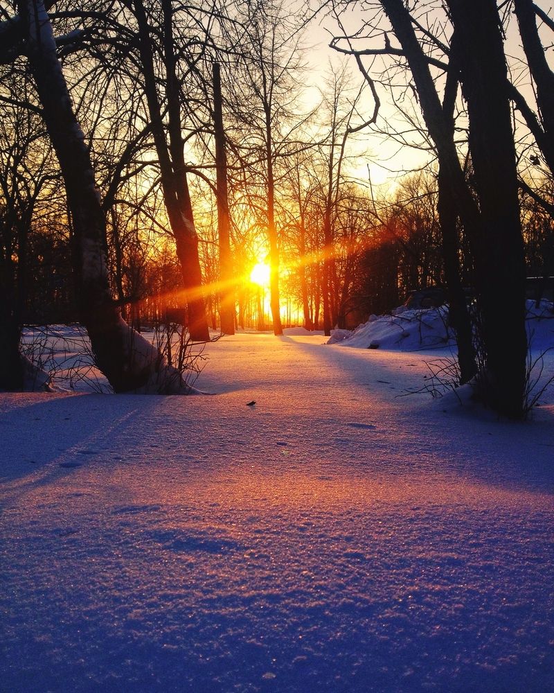 Sunset